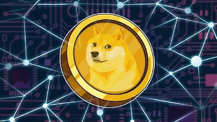 Исторический день для Dogecoin (DOGE): крупная инвестиционная компания сделала объявление!