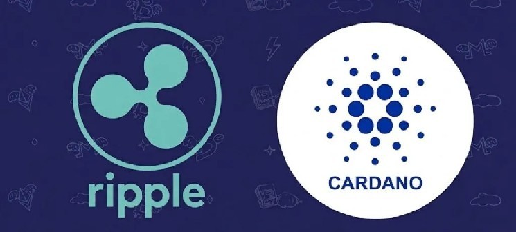 Бывший технический директор Ripple Дэвид Шварц отвечает на заявления основателя Cardano Хоскинсона об XRP и ADA!